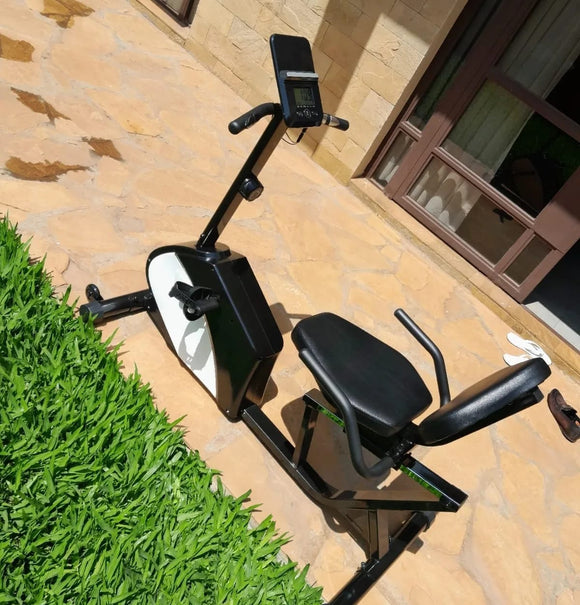 EXERCISE DOMESTIC RECUMBENT BIKE