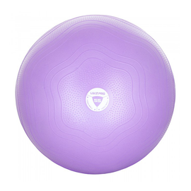 SWISS EXERCISE BALL