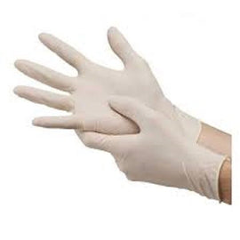Biobase Latex Examination Gloves - Sallys Home