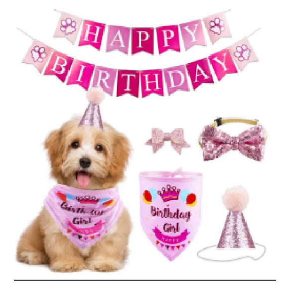 Birthday Set Hat, Bow Tie, Kerchief, Banner Blue, Pink - Sallys Home