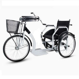 Heavy Duty Manual Tricycle - Sallys Home
