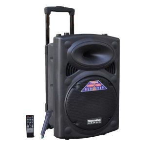 Public Address Subwoofer 12inch With Multi Features - Sallys Home