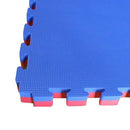 REVERSIBLE MARTIAL ARTS INTERLOCKING EXERCISE MAT 2.5CM HEAVY PAD - Sallys Home
