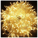 Light Led 10Meter 100 Bulbs Win Win Purple, Green, White-3