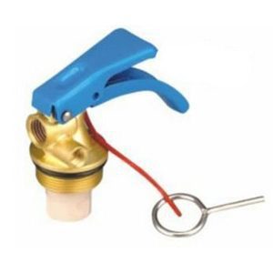 Valve For 9Kg Powder Extinguisher, Blue China