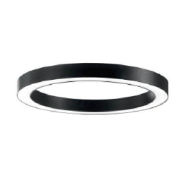 Ceiling Fitting Aluminum Casting Round White W/Black Ring Finished, 55Mm, Dia:66X25Mm Win Win