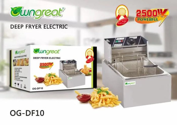 OwnGreat 2500W 6L Electric Deep Fryer OG-DF10