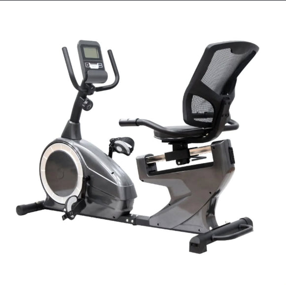 DV EXERCISE DOMESTIC RECUMBENT BIKE