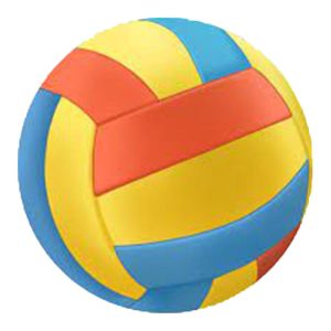Volleyball Colored For Beach Safari