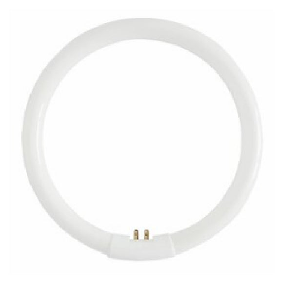 Circular Tube 220V, 6400K 22W T5-Gz10Q-22