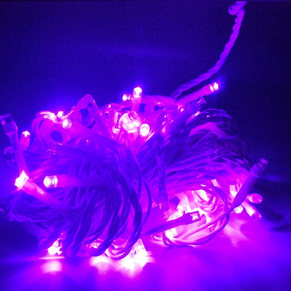 Light Led 10Meter 100 Bulbs Win Win Purple, Green, White