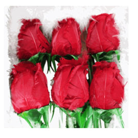 Rose With Tag Made From Feather - Sallys Home